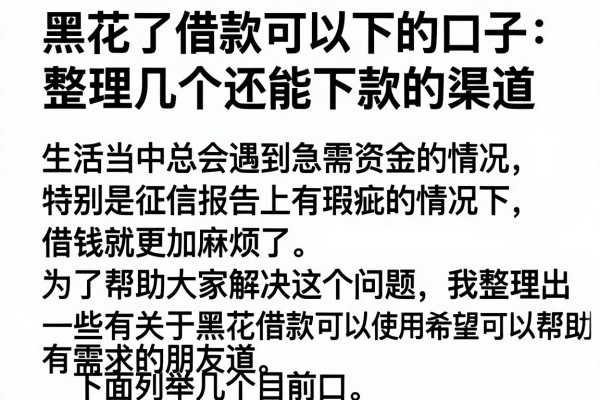 黑花了借款可以下的口子：整理几个还能下款的渠道