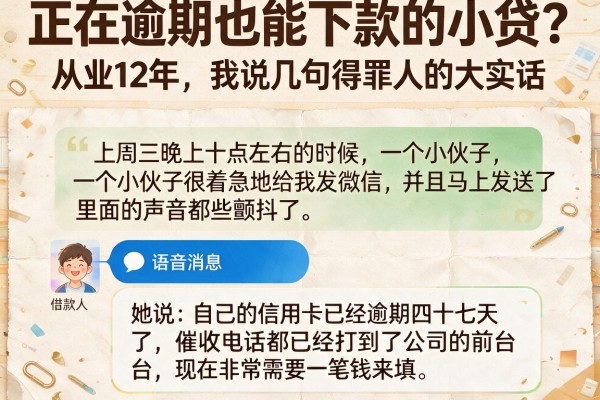 正在逾期也能下款的小贷？从业12年，我说几句得罪人的大实话