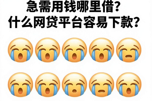 急需用钱哪里借？什么网贷平台容易下款？盘点五个通过率高的口子