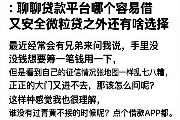 聊聊贷款平台哪个容易借又安全微粒贷之外还有啥选择