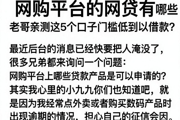 网购平台的网贷有哪些可以借款？老哥亲测这5个口子门槛低到离谱