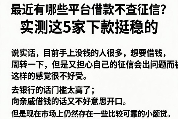 最近有哪些平台借款不查征信？实测这5家下款挺稳的