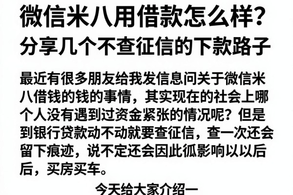 微信米八用借款怎么样？分享几个不查征信的下款路子