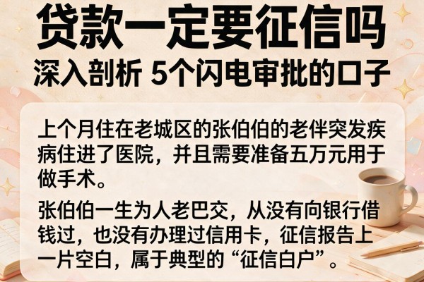 贷款一定要征信吗,深入剖析5个闪电审批的口子