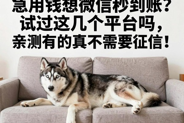 急用钱想微信秒到账？试过这几个平台吗，亲测有的真不需要征信！
