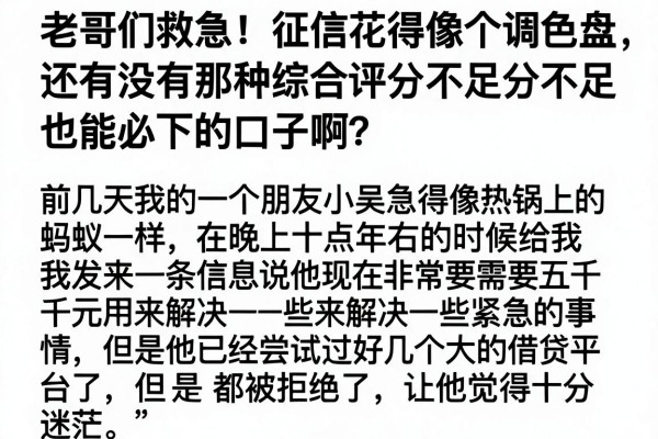老哥们救急！征信花得像个调色盘，还有没有那种综合评分不足也能必下的口子啊？