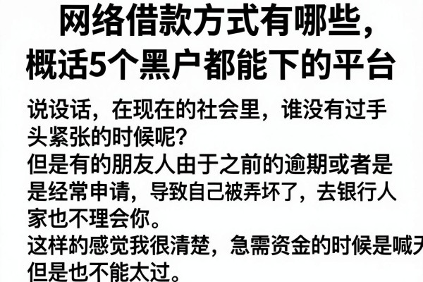 网络借款方式有哪些，概括5个黑户都能下的平台