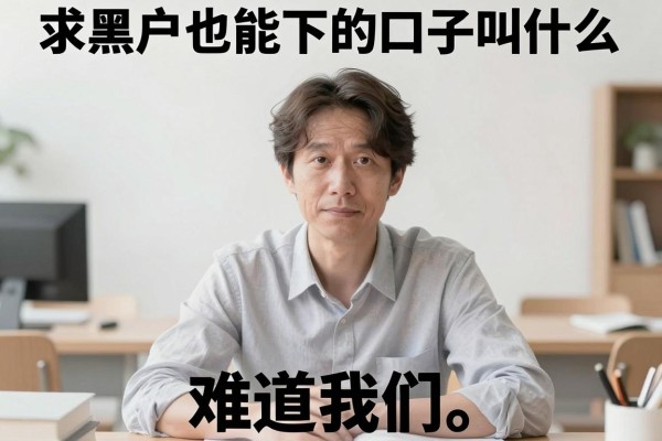 求黑户也能下的口子叫什么，整合五个黑户贷款的口子必下app