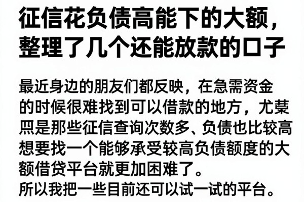征信花负债高能下的大额，整理了几个还能放款的口子