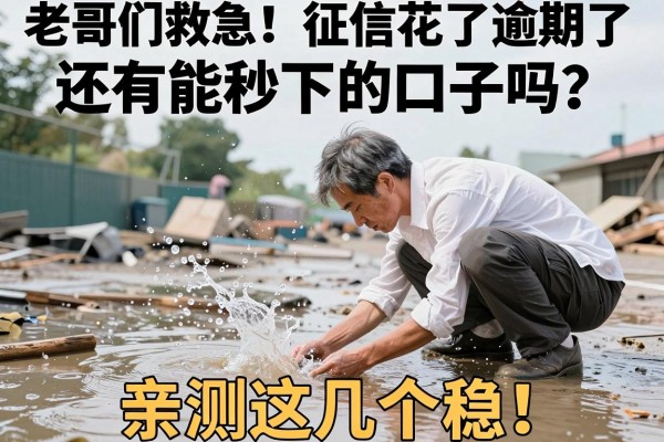 老哥们救急！征信花了逾期了还有能秒下的口子吗？亲测这几个稳！