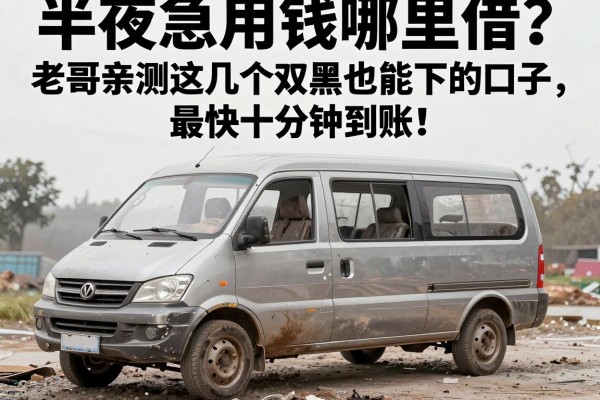 半夜急用钱哪里借？老哥亲测这几个双黑也能下的口子，最快十分钟到账！