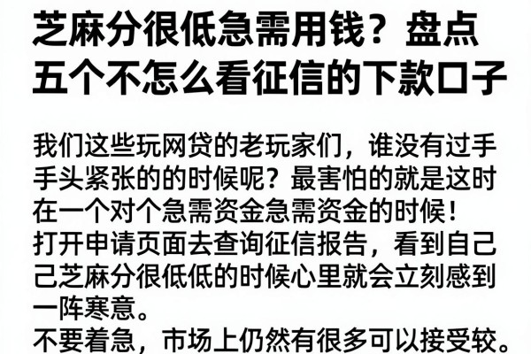 芝麻分很低急需用钱？盘点五个不怎么看征信的下款口子