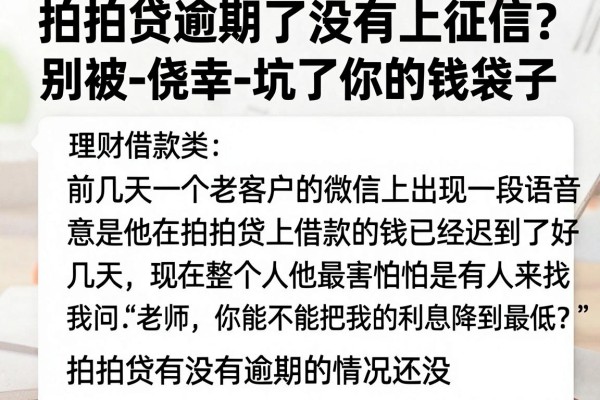 拍拍贷逾期了没有上征信？别被-侥幸-坑了你的钱袋子