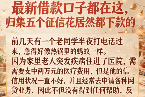 最新借款口子都在这，归集五个征信花居然都下款的app