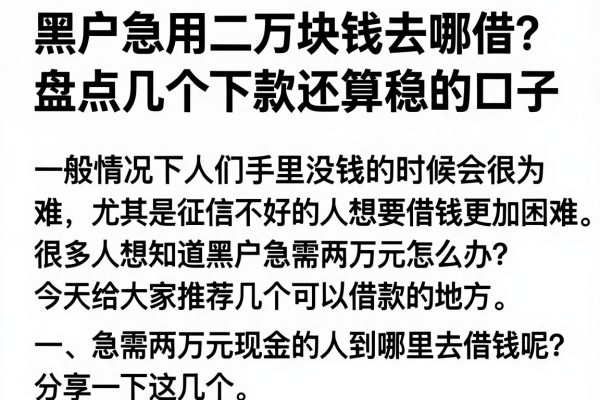 黑户急用二万块钱去哪借？盘点几个下款还算稳的口子