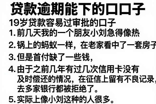 贷款逾期能下的口子，条列5个19岁贷款容易过审批的口子