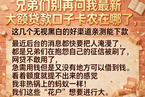 兄弟们别再问我最新大额贷款口子卡农在哪了，这几个无视黑白的好渠道亲测能下款