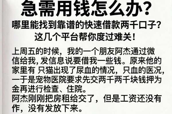 急需用钱怎么办？哪里能找到靠谱的快速借款两千口子？这几个平台帮你度过难关！