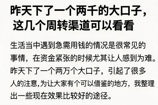 昨天下了一个两千的大口子，这几个周转渠道可以看看