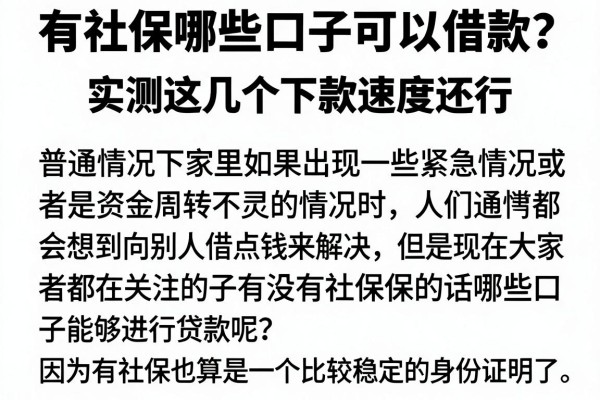 有社保哪些口子可以借款？实测这几个下款速度还行