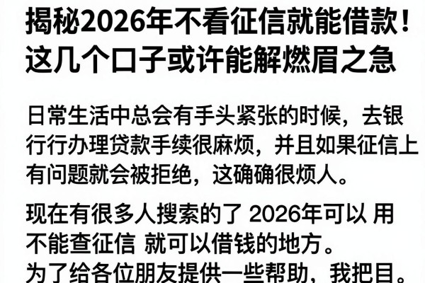 揭秘2026年不看征信就能借款，这几个口子或许能解燃眉之急