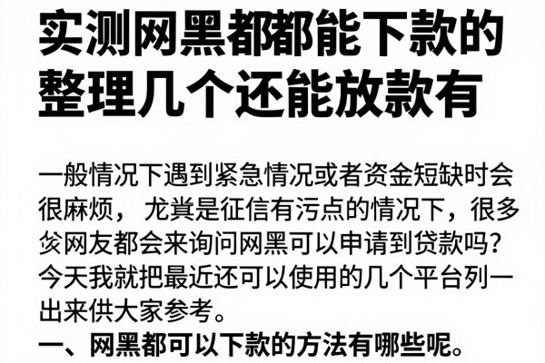 实测网黑都能下款的口子有没有，整理几个还能放款的