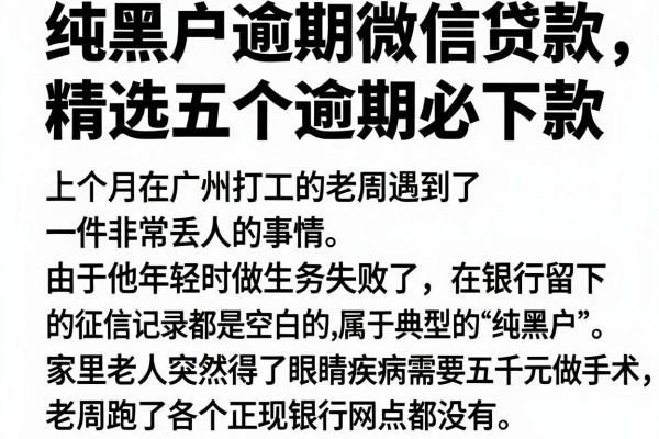 纯黑户逾期微信贷款，精选五个逾期必下款的app