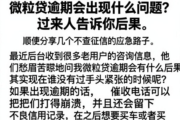 微粒贷逾期会出现什么问题？过来人告诉你后果，顺便分享几个不查征信的应急路子