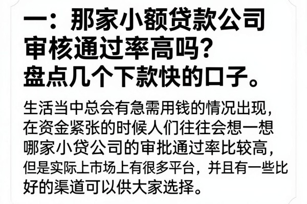 那家小额贷款公司审核通过率高吗？盘点几个下款快的口子