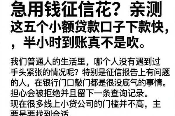 急用钱征信花？亲测这五个小额贷款口子下款快，半小时到账真不是吹