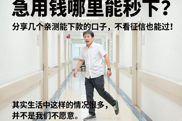 急用钱哪里能秒下？分享几个亲测能下款的口子，不看征信也能过！