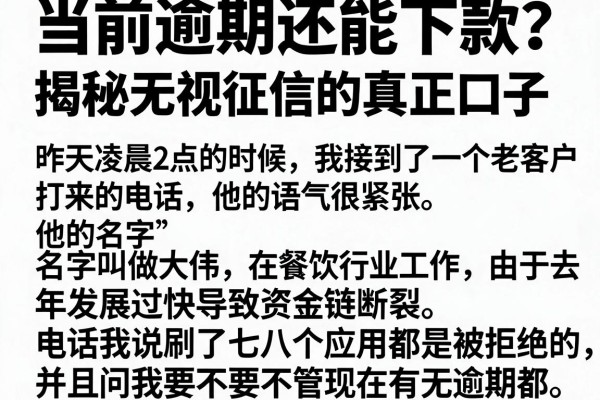 当前逾期还能下款？揭秘无视征信的真正口子