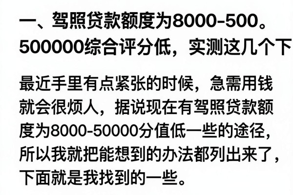 驾照贷额度8000到50000综合评分低，实测这几个下款还行