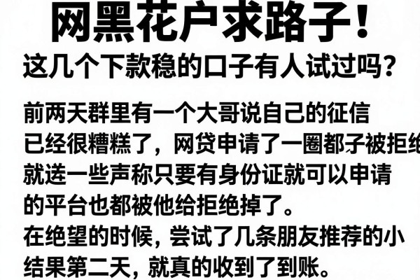 网黑花户求路子！这几个下款稳的口子有人试过吗？