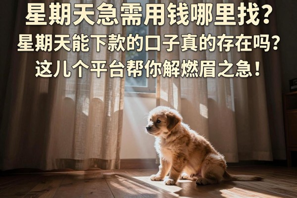 星期天急需用钱哪里找？星期天能下款的口子真的存在吗？这几个平台帮你解燃眉之急！