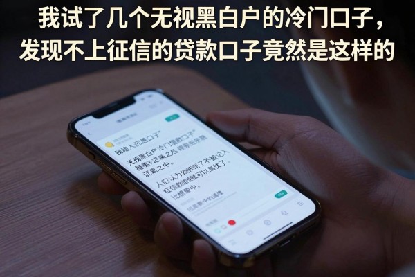 我试了几个无视黑白户的冷门口子，发现不上征信的贷款口子竟然是这样的