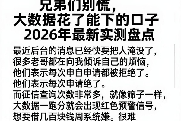 兄弟们别慌，大数据花了能下的口子2026年最新实测盘点