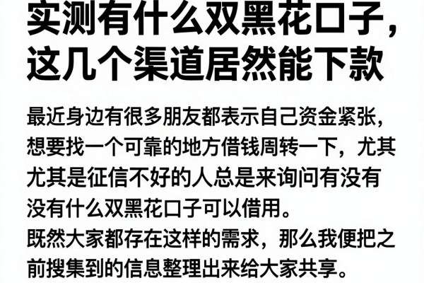 实测有什么双黑花口子，这几个渠道居然能下款