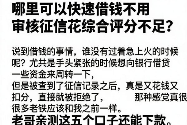 哪里可以快速借钱不用审核征信花综合评分不足？老哥亲测这五个口子还能下款
