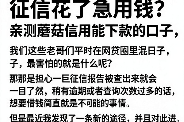 征信花了急用钱？亲测蘑菇信用能下款的口子，这几个渠道真香