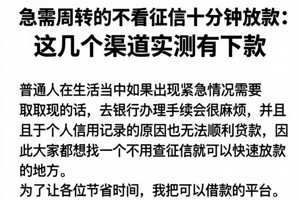急需周转的不看征信十分钟放款，这几个渠道实测有下款