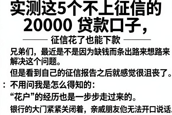 实测这5个不上征信的20000贷款口子,征信花了也能下款