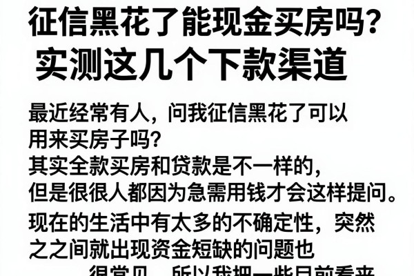征信黑花了能现金买房吗？实测这几个下款渠道