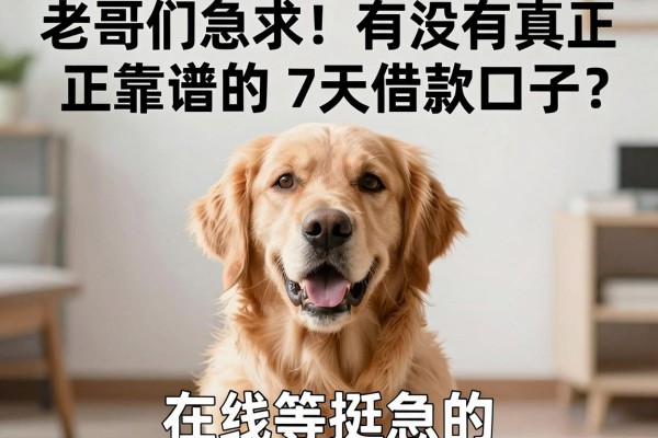 老哥们急求！有没有真正靠谱的7天借款口子？在线等挺急的