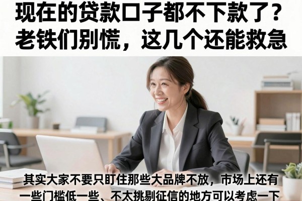 现在的贷款口子都不下款了？老铁们别慌，这几个还能救急