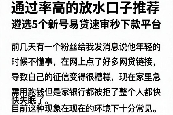 通过率高的放水口子推荐，遴选5个新号易贷速审秒下款平台