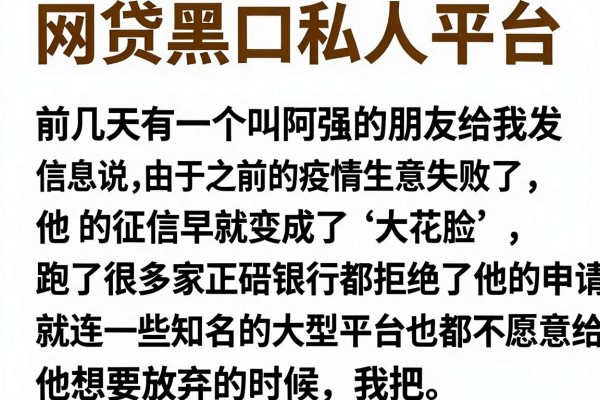 网贷黑口私人平台，详尽说明五个不审核夜间直接放款的网贷软件