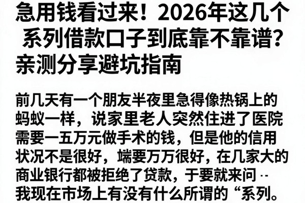 急用钱看过来！2026年这几个系列借款口子到底靠不靠谱？亲测分享避坑指南