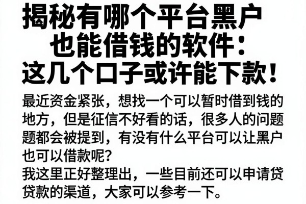 揭秘有哪个平台黑户也能借钱的软件，这几个口子或许能下款