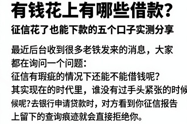 有钱花上有哪些借款？征信花了也能下款的五个口子实测分享